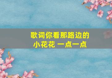 歌词你看那路边的小花花 一点一点